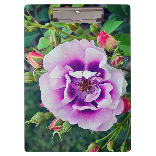 Porte-bloc Un rose violet (Devant)