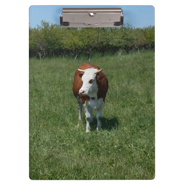 Porte-bloc Vache dans le pâturage (Devant)
