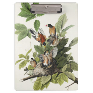 Porte-bloc Vintage Audubon Merle d'Amérique Art du Nid d'Oise