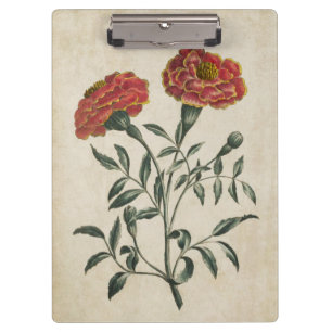 Porte-bloc Vintage Botanique Floral Français Marigold