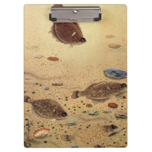 Porte-bloc Vintages, Marine Ocean Life Poisson plat