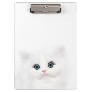 Porte-bloc Visage persan blanc de chaton observé par bleu
