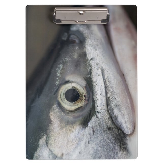 Porte-bloc Visage Saumon argenté (Devant)