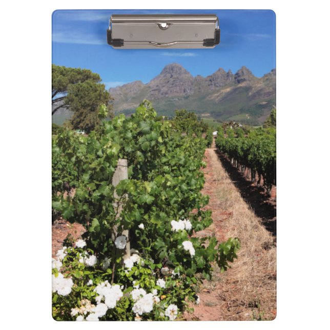 Porte-bloc Vue des vignobles. Stellenbosch (Devant)