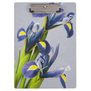 Porte-bloc Washington, Redmond, Iris violets