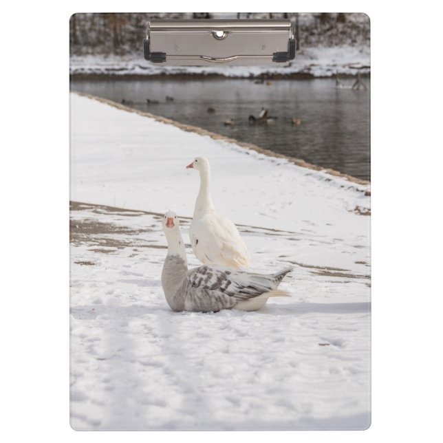 Porte-bloc Whats Up Goose (Devant)