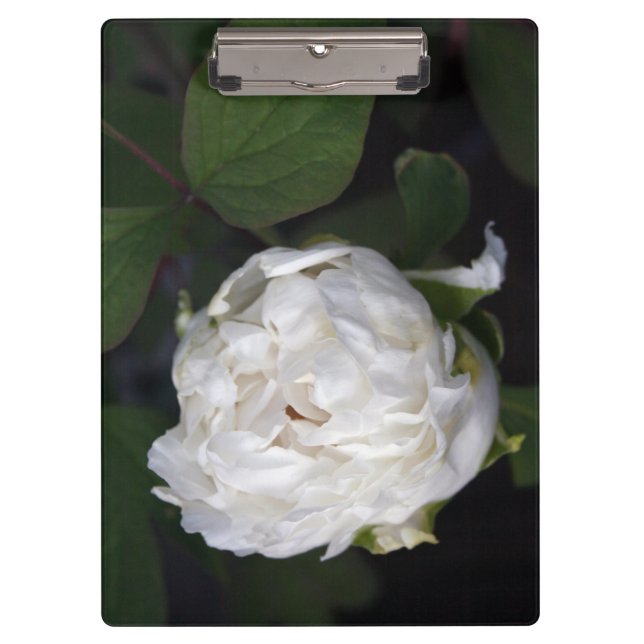 Porte-bloc White Peony Floral Porte - bloc (Devant)
