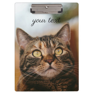 Porte-bloc Yeux de chat