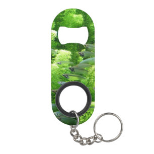 Porte-clé Décapsuleur Banc des poissons argentés transparents