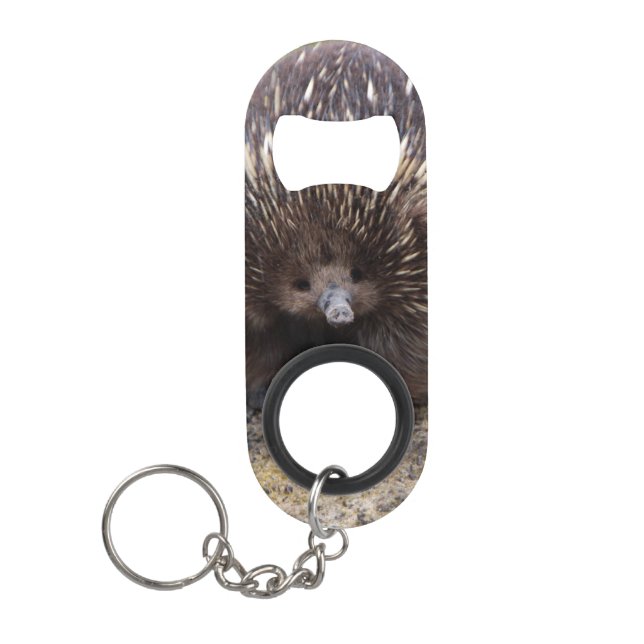 Porte-clé Décapsuleur Photo native Australian Wild Echidna (Devant)