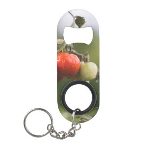 Porte-clé Décapsuleur tomates mouillées sur la vigne