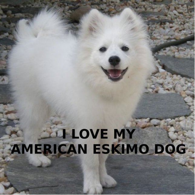 Porte-clé Photo Sculpture American_Eskimo_Dog_love avec photo (Devant)