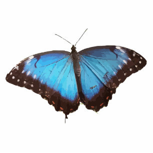 Porte-clé Photo Sculpture Art animal de douche de fête au bureau de papillon