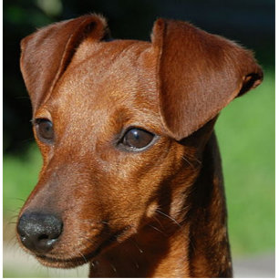 Porte-clé Photo Sculpture broche principale