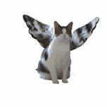 Porte-clé Photo Sculpture Chat d'ange<br><div class="desc">Portez la preuve des anges étant parmi nous avec ce porte - clé de minou d'ange. Sûrement quelqu'un vous croire !</div>