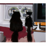 Porte-clé Photo Sculpture Chats curieux<br><div class="desc">Les chats curieux regardent la fenêtre ? ?</div>