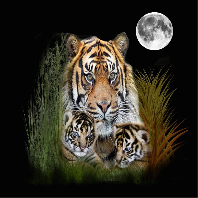 Porte-clé Photo Sculpture J'aime les tigres (Devant)