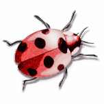 Porte-clé Photo Sculpture Ladybug<br><div class="desc">Ladybug est un design Pop Art</div>