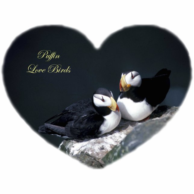 Porte-clé Photo Sculpture Les macareux de l'Alaska ont fait varier le pas (Devant)