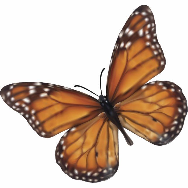 Porte-clé Photo Sculpture Papillon de monarque (Devant)