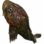Porte-clé Photo Sculpture Seigneur irlandais Rock Fish<br><div class="desc">Le seigneur irlandais est un poisson commun de roche trouvé dans les baies de l'île d'Unalaska.  C'est un poisson dirigé osseux qui n'a pas beaucoup de viande et la bouche est grande et les ailerons sont spikey.  Ce seigneur irlandais masculin montre les couleurs rouges employées pour attirer un compagnon.</div>