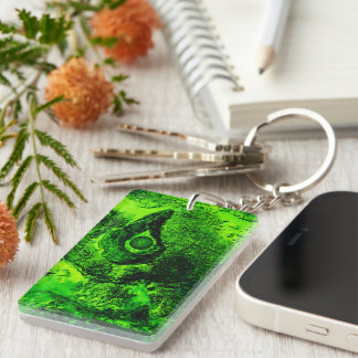 Porte-clefs à la recherche d'un porte - clé vert