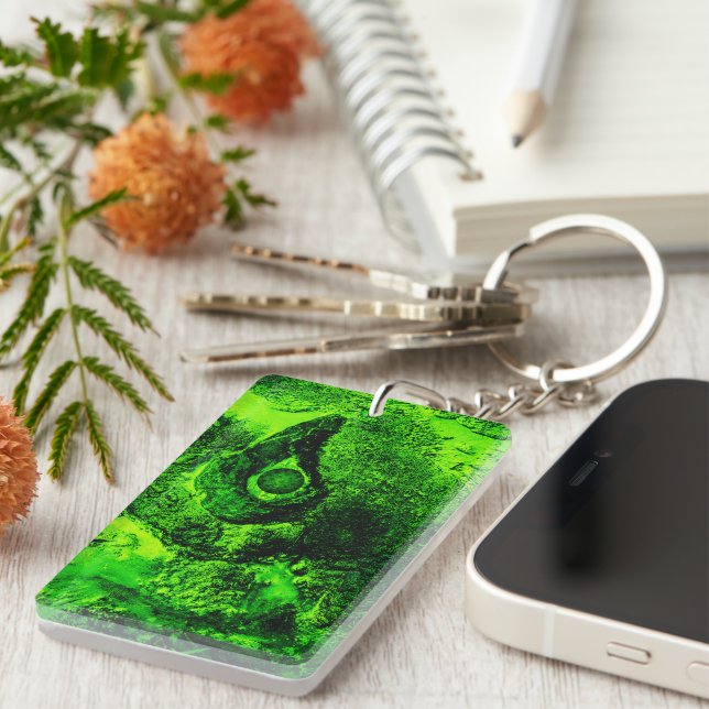 Porte-clefs à la recherche d'un porte - clé vert (Devant droit)