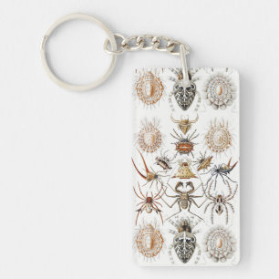 Porte-clefs Academia Noire Haeckel Vintage Araignée Symétrie A