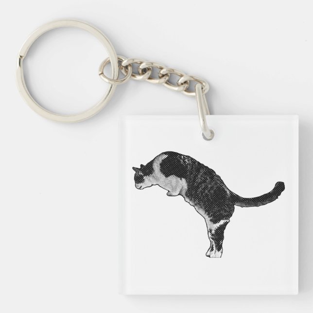 Porte-clefs Accent de Chat Frais (Devant)