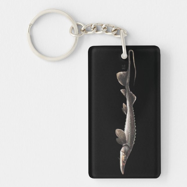 Porte-clefs acigifts@yahoo.com - STURGEON-SYR DARYA (Devant)