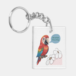 Porte-clefs Acrylic Keychain