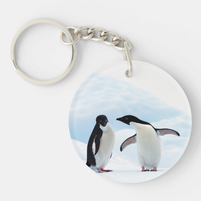 Porte-clefs Adelie Penguins (Devant)
