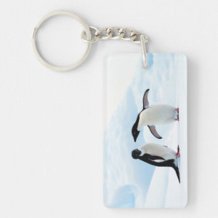 Porte-clefs Adelie Penguins
