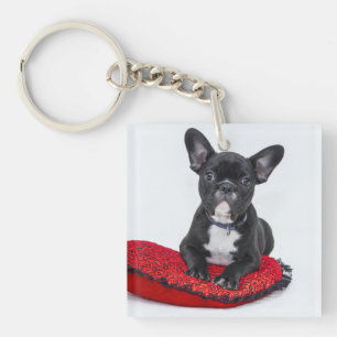 Porte-clefs Adorable Black and White Bulldog Puppy Photo