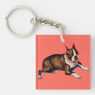 Porte-clefs adorable Boston terrier
