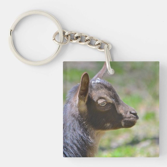Porte-clefs adorable chèvre de bébé (Devant)