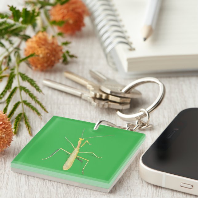 Porte-clefs Adorable Mantis (Devant Droit)