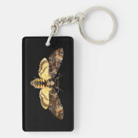african death head moth butterfly insect Acheronti