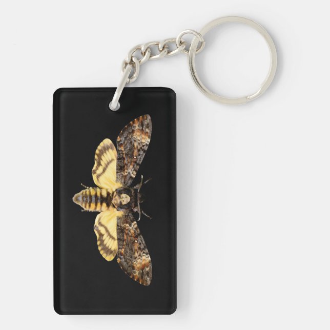 Porte-clefs african death head moth butterfly insect Acheronti (Dos)