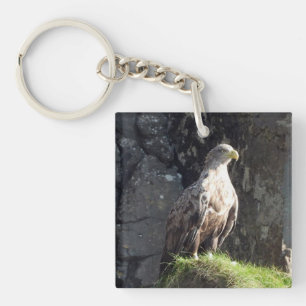 Porte-clefs Aigle blanc puissant Habitat de falaise océanique