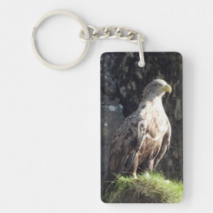 Porte-clefs Aigle Blanc Sauvage Prédateur à Queue Blanche sur