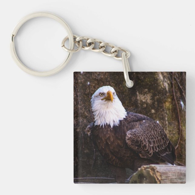 Porte-clefs Aigle de Bald (Devant)