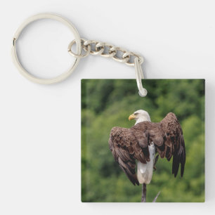 Porte-clefs Aigle de Bald sur une branche