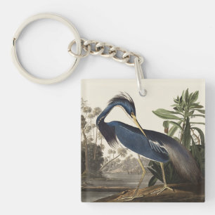 Porte-clefs Aigrette de Louisiane, oiseau, Art vintage d'Audub