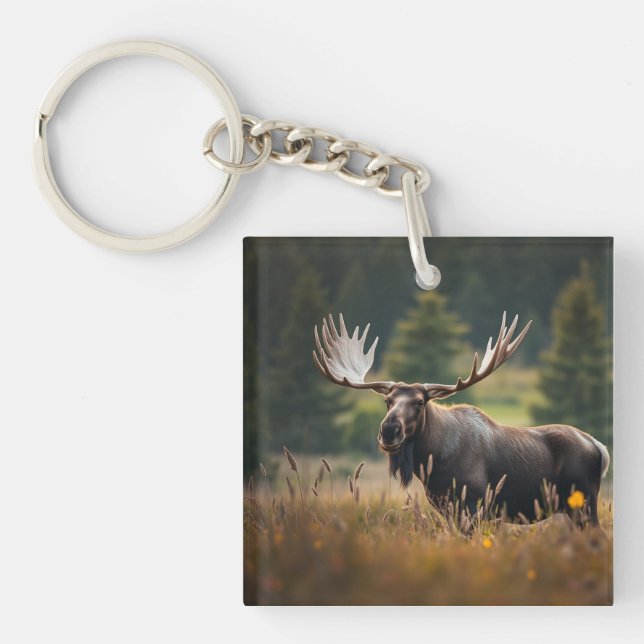 Porte-clefs Aiguille (Devant)