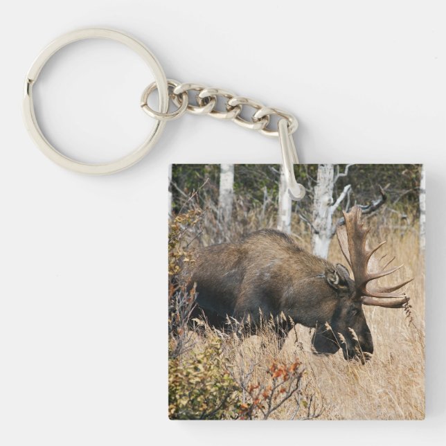 Porte-clefs Aiguille (Devant)