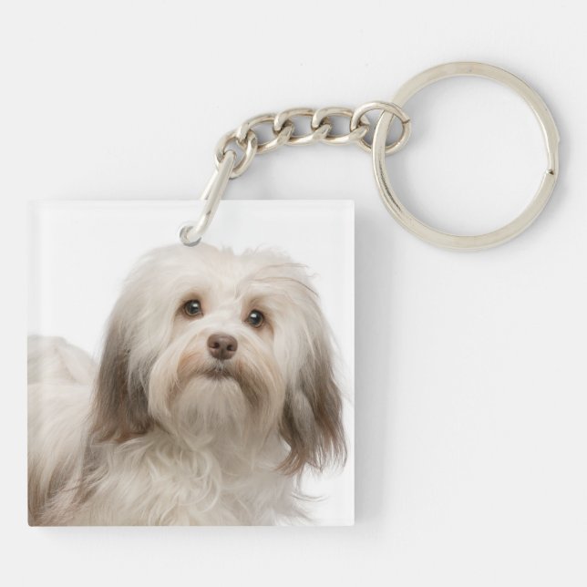 Porte-clefs Aimez mon porte - clé de Havanese (Dos)