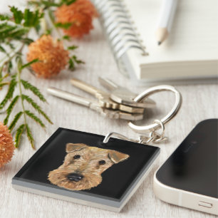 PORTE-CLEFS AIRDALE  