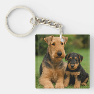 Porte-clefs Airedale Terrier Avec Chiot