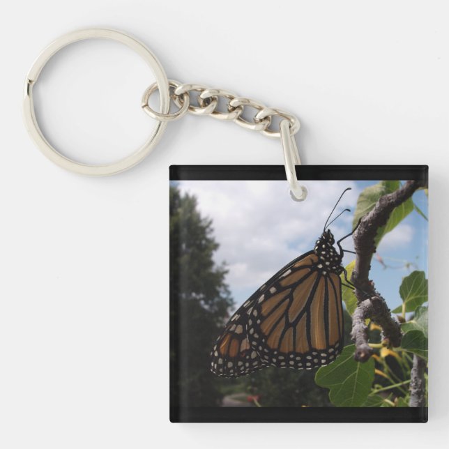Porte-clefs Ajustez (le double a dégrossi) le porte - clé, le (Devant)